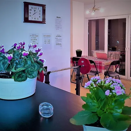 招待所 Guesthouse