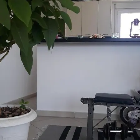 Guesthouse 招待所 *
