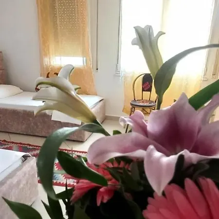 招待所 Guesthouse