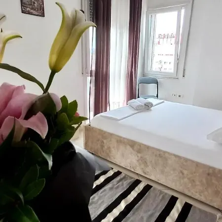Guesthouse 招待所 *