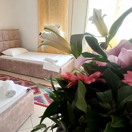 Guesthouse * 地拉那